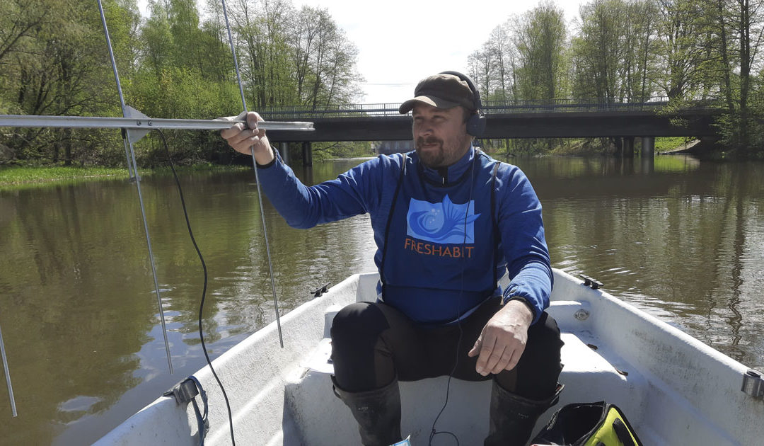 En person sitter i en båt och observerar fisk med radiosändare