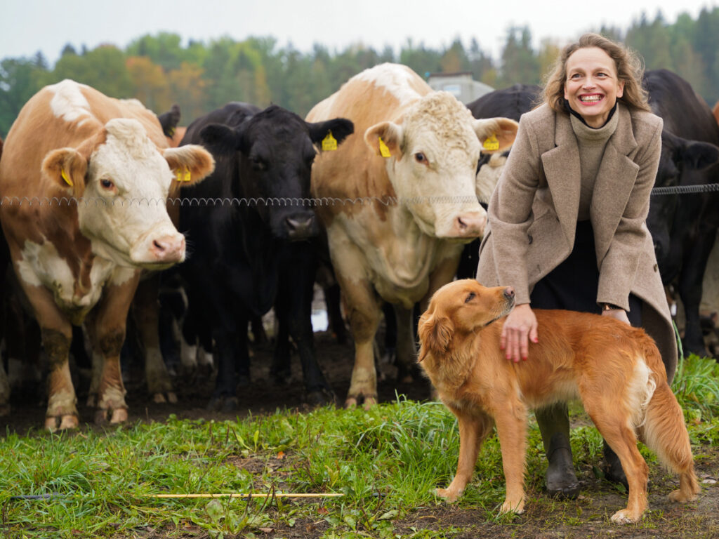 Stadsdirektör Petra Theman klappar en brun hund, båda står framför en flock kor.